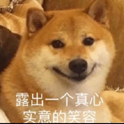 修狗表情包