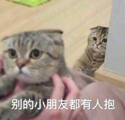 发给男朋友的猫猫表情包