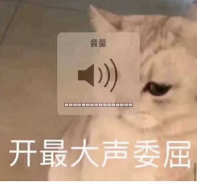 发给男朋友的猫猫表情包