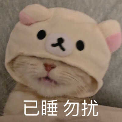 发给男朋友的猫猫狗狗表情包