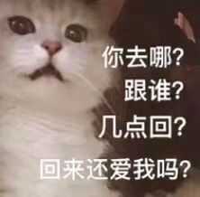 发给男朋友的猫猫表情包