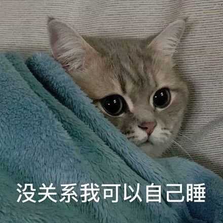 发给男朋友的猫猫表情包