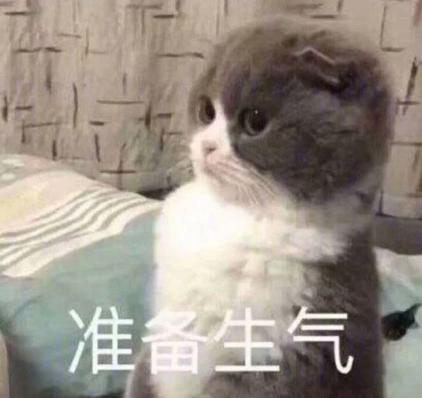 发给男朋友的猫猫表情包