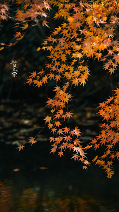 山远天高烟水寒，相思枫叶丹