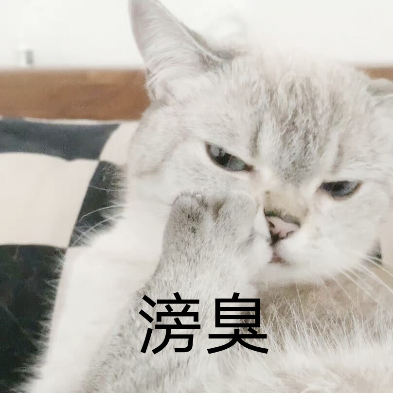 猫猫表情包