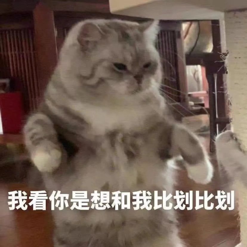 猫猫表情包