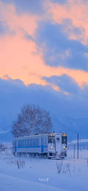 雪景壁纸 堆糖 美图壁纸兴趣社区