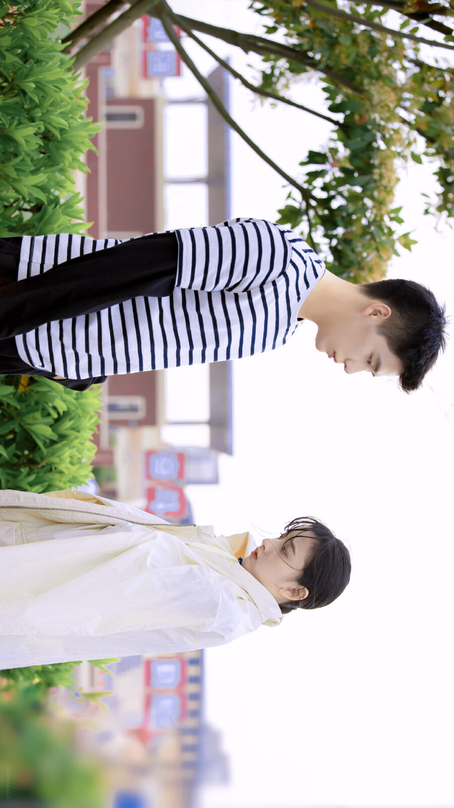 陪你逐风飞翔电视剧邵北笙-沈争一