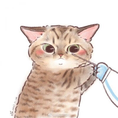 打疫苗的猫