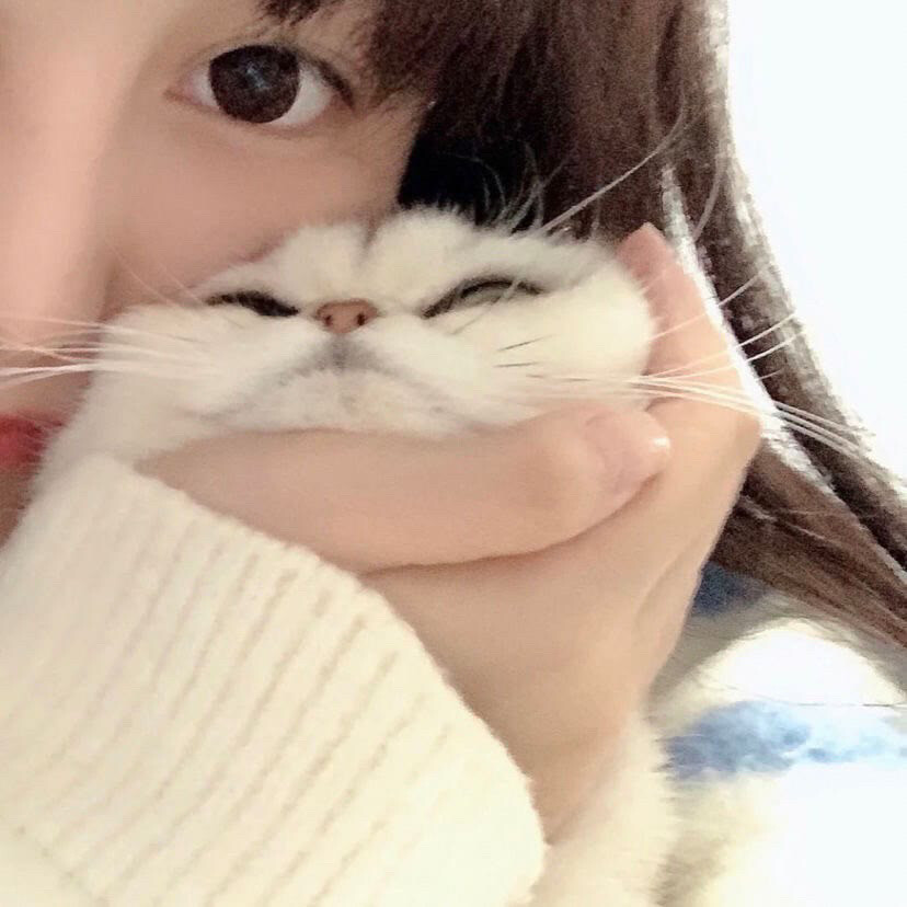 抱猫