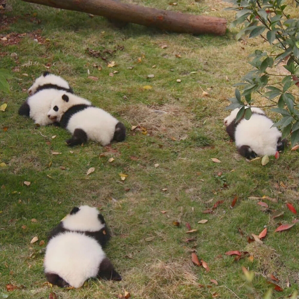 背景图 壁纸 侵权删