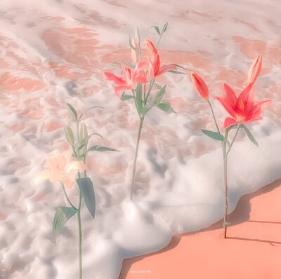 //：星空迷上了山野，有雾有灯也有归人。
