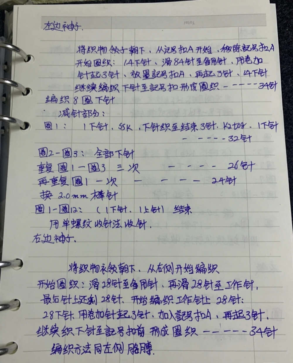 小狮子温斯顿