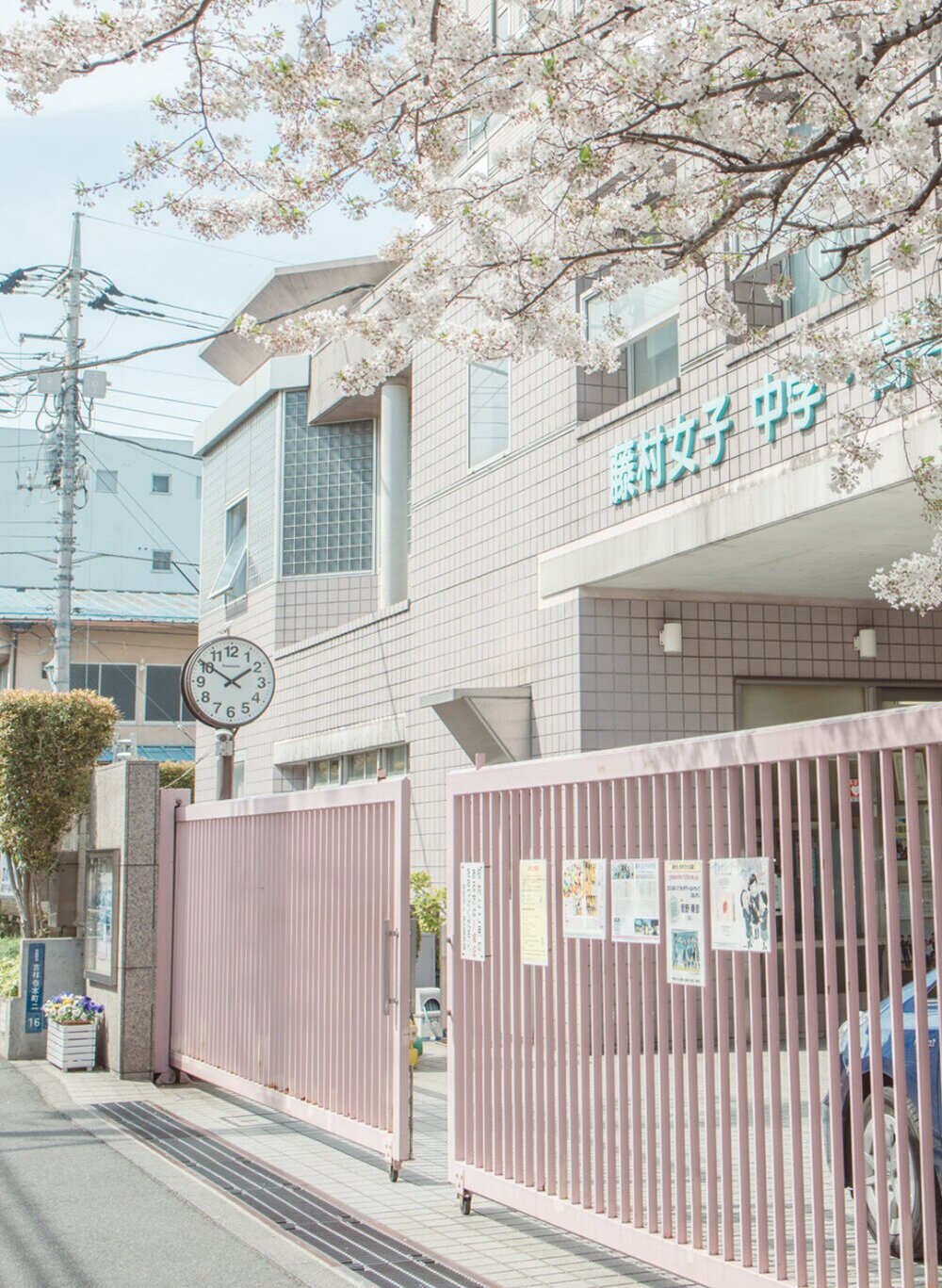 属于你的春日限定~