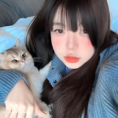 ·凌晨四点 我看见海棠花未眠·