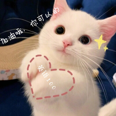 备战英语٩(๑•̀ω•́๑)۶专用头像