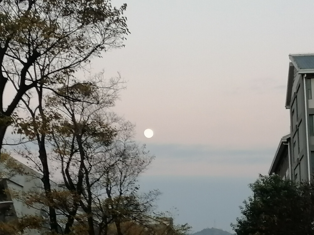 日落大道×月升之路✓