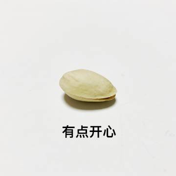 开心果搞笑表情包_