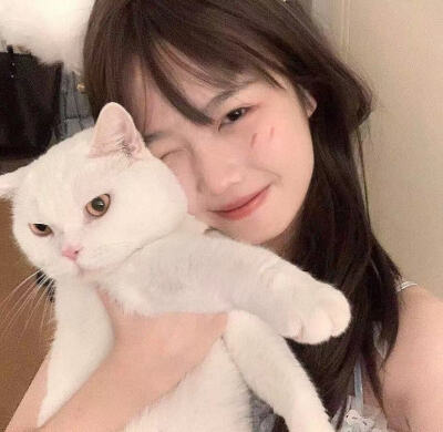 女生头像 抱猫