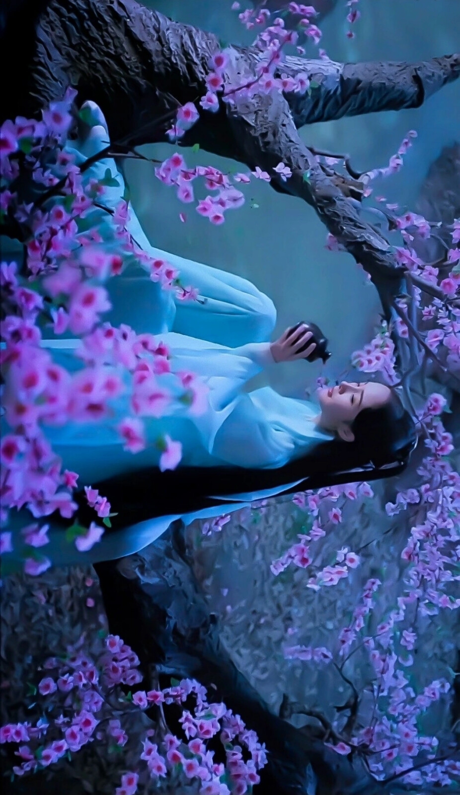 白浅