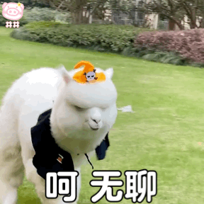羊驼表情包动图
可爱的表情包