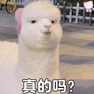 羊驼表情包动图
可爱的表情包