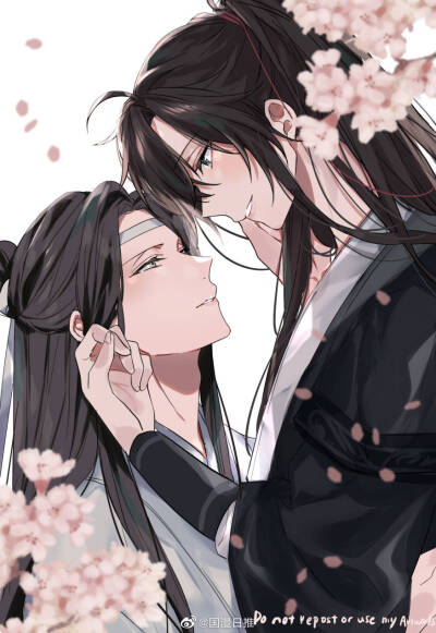 MDZS