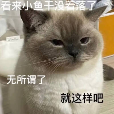 表情包 可爱 沙雕