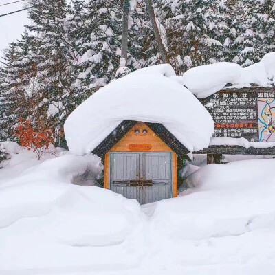 北海道的雪