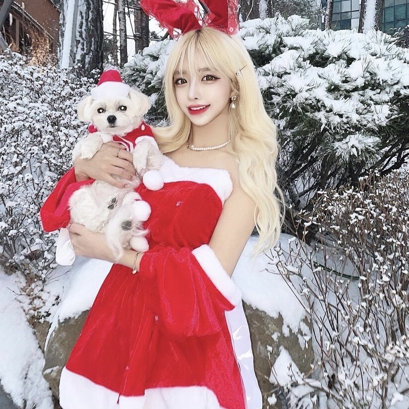 不可流传 引刘 仅限自用