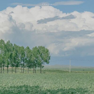 油画质感 | 背景图
： 生有热烈 藏于俗常✨