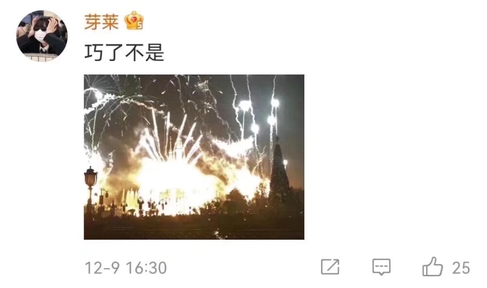 迪士尼爆炸