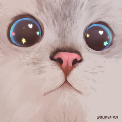 猫咪头像插画