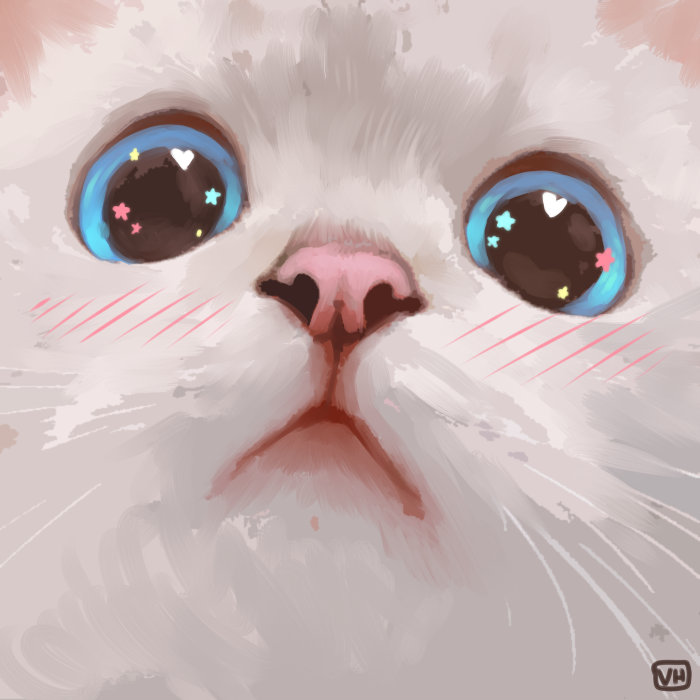 猫咪头像插画