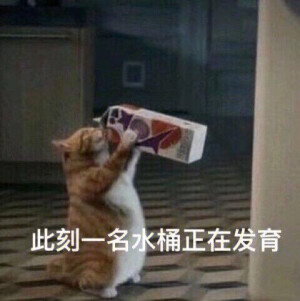 表情包