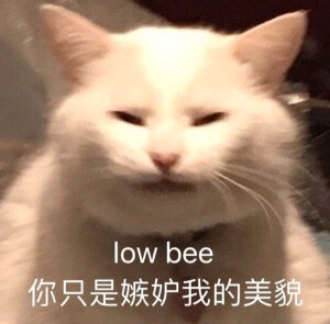 表情包