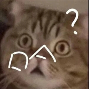 表情包