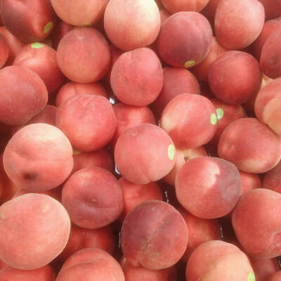 背景图可二改·