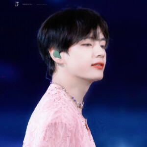 金泰亨
Taeholic_V1230

“王的鸟，死在了焰辉的前夕。”