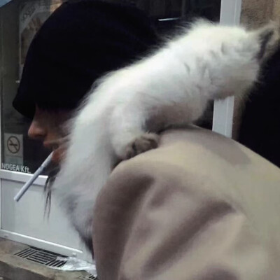 孤独像无人送粥的重感冒