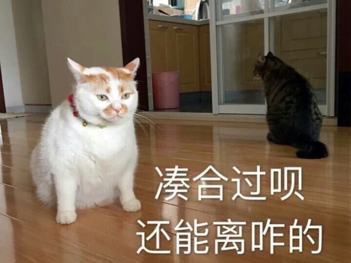 表情包