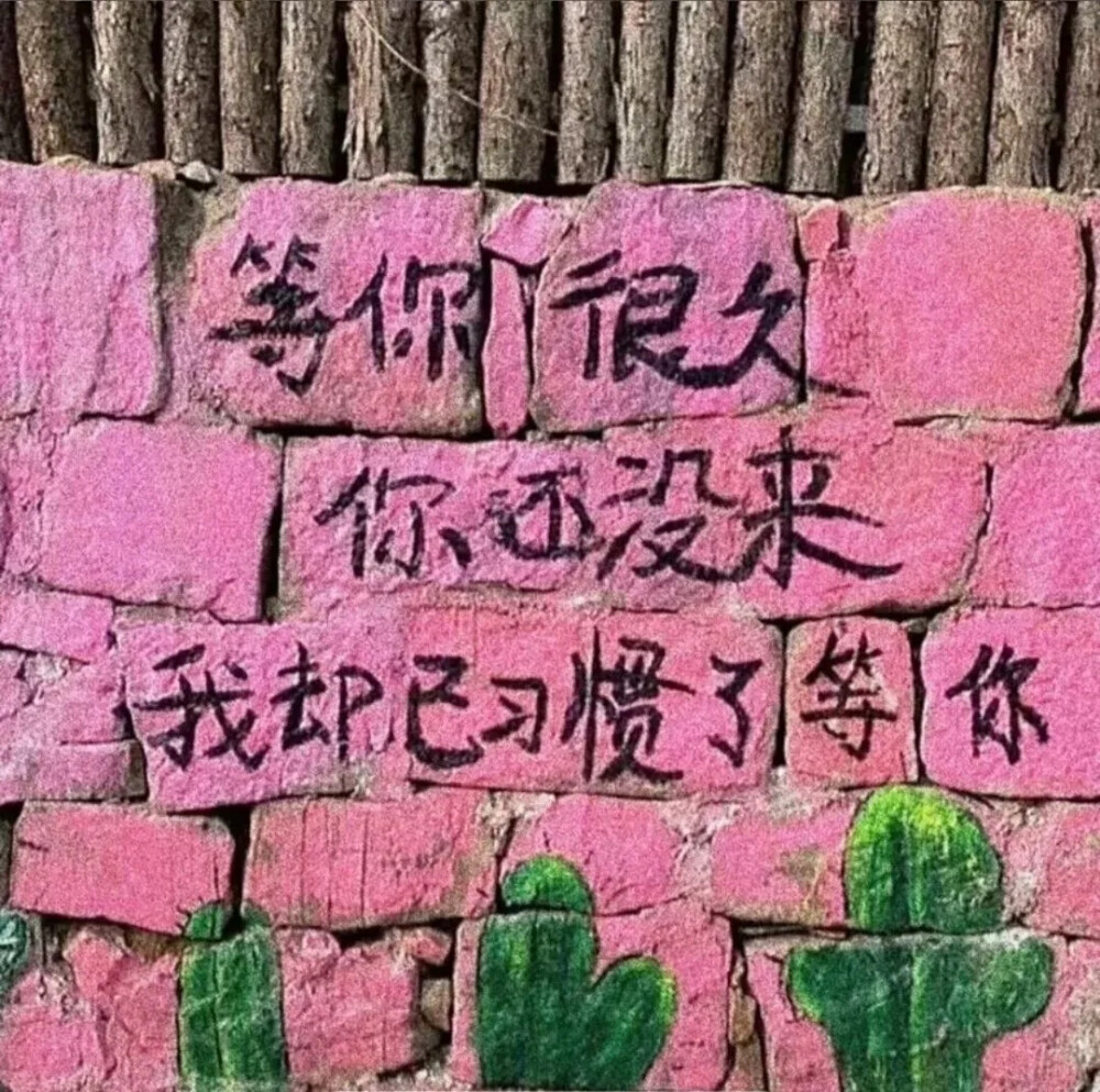 背景图/dt主唱涵/侵删