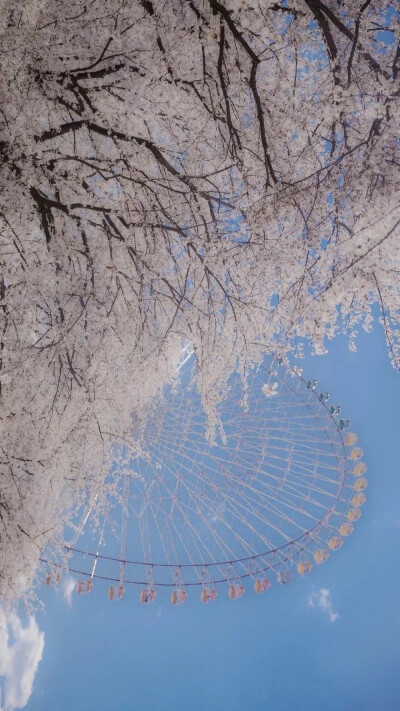 日系壁纸背景图 樱花 富士山 木板鞋