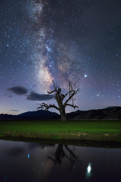 星河滚烫，你是人间理想