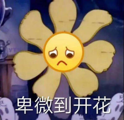 表情包