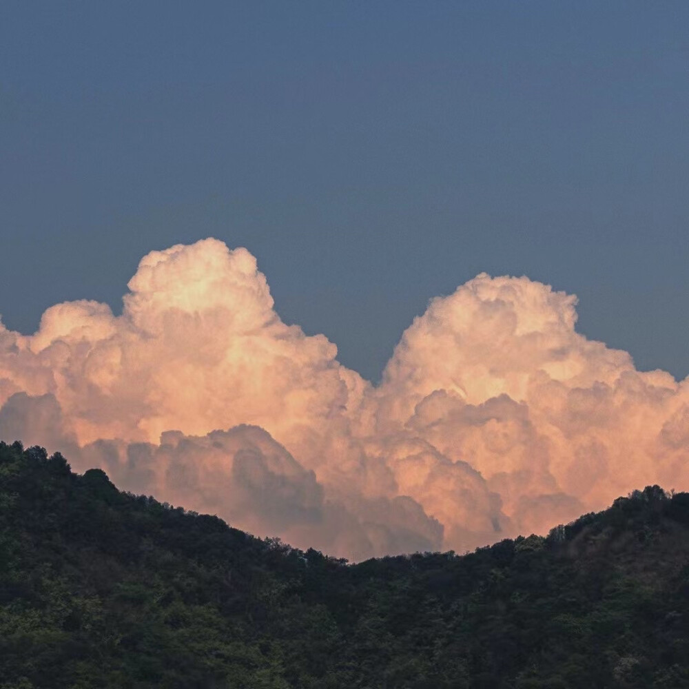 背景图集
半山腰太挤了
要去山顶看看