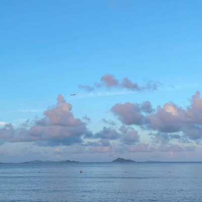 背景图集
半山腰太挤了
要去山顶看看