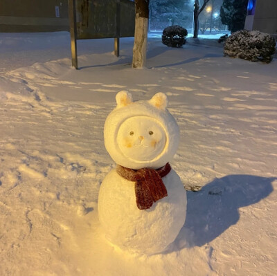 用冬天的雪花和你的哈尼堆一个甜甜的小雪人吧。