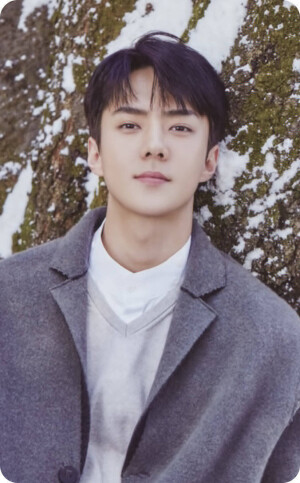 EXO世勋灿烈伯贤红贝贝