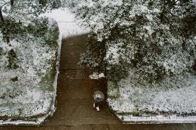 下雪很美